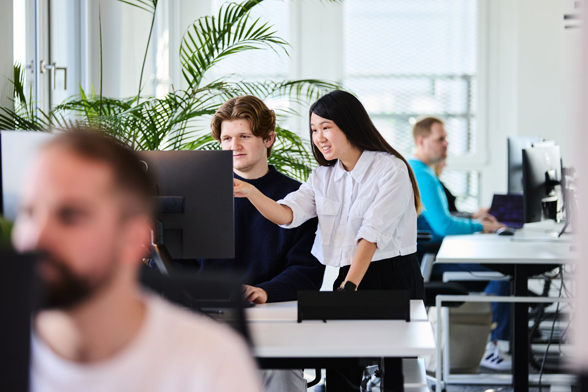 Mehrere lise-Entwickler*innen sitzen an ihren Arbeitsplätzen und arbeiten an ihrer Software